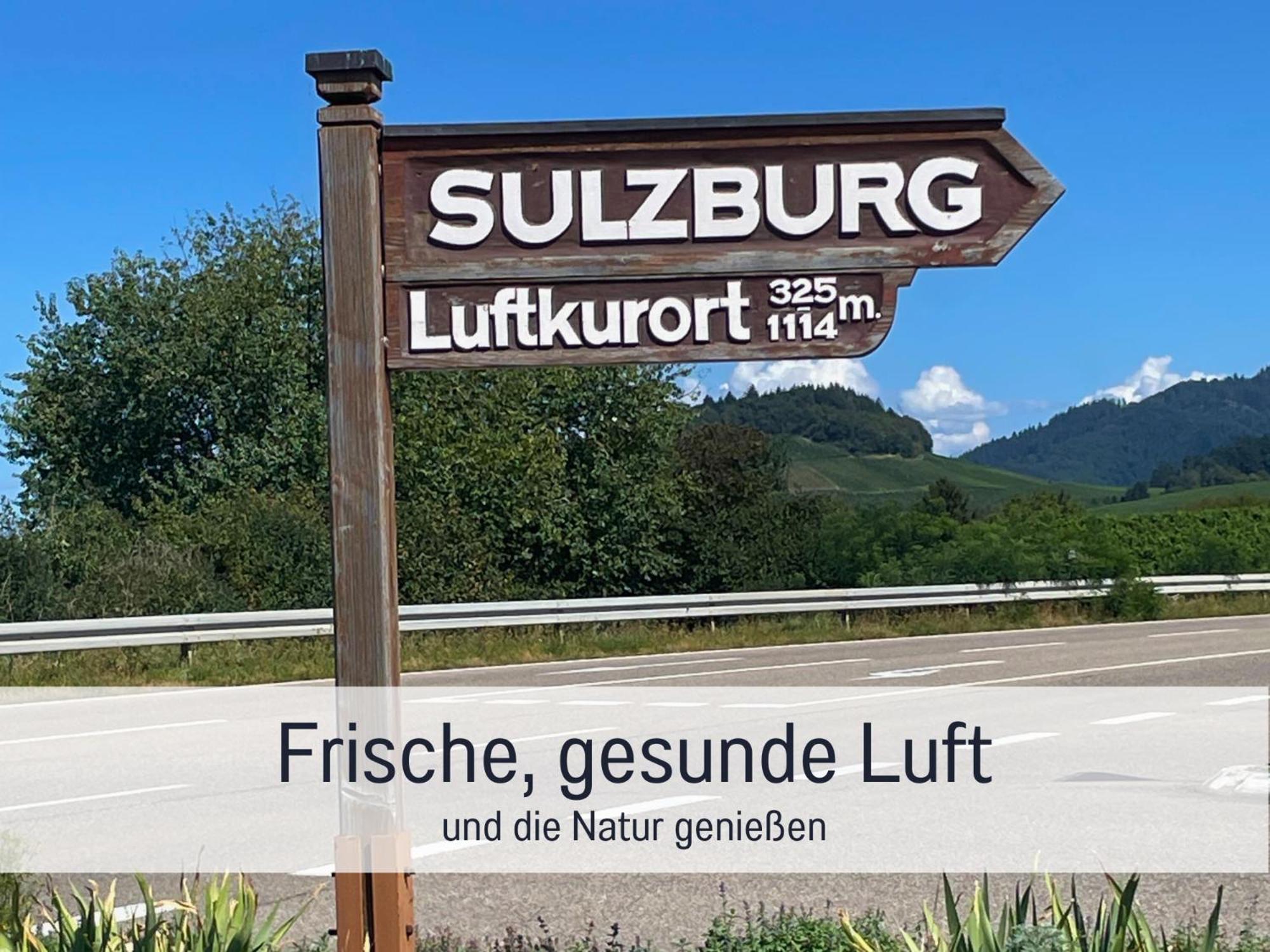 Ferienwohnungen Auszeit Langmatt Sulzburg Eksteriør billede