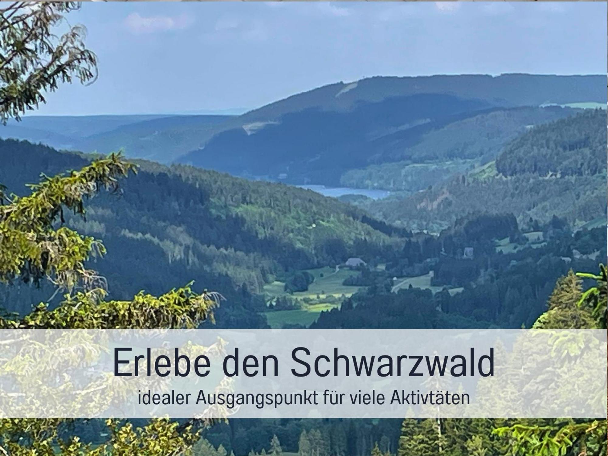 Ferienwohnungen Auszeit Langmatt Sulzburg Eksteriør billede
