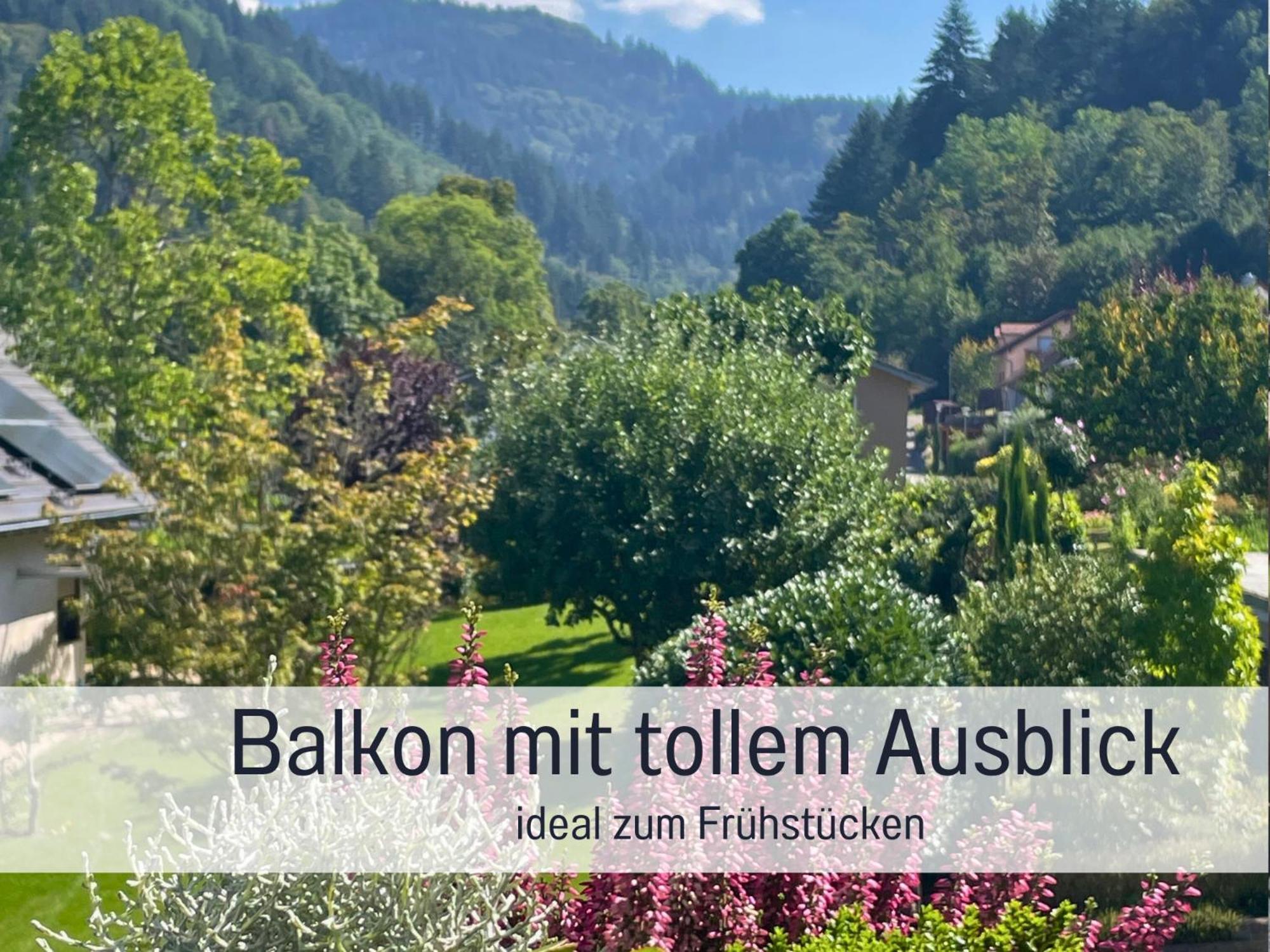 Ferienwohnungen Auszeit Langmatt Sulzburg Eksteriør billede